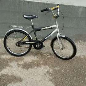 TIGIR 20LIK BIRAWER BMW