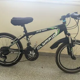 tigir olimpiya 20-lik