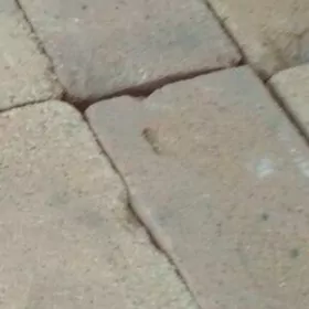 ОГНЕУПОР керпич Ogneup kerpiç