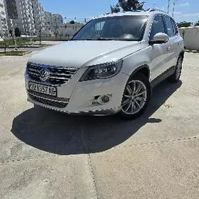 Volkswagen Tiguan 2010