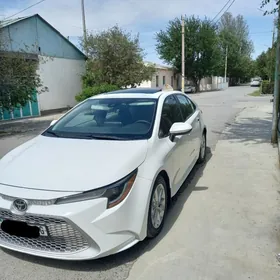 Toyota Corolla 2019