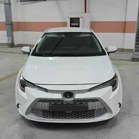 Toyota Corolla 2020