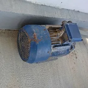 mator elektro dwigatel