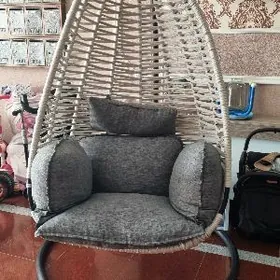 Sallancak ( kacelya )