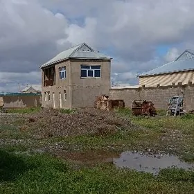 Sarahs tejen uly yol