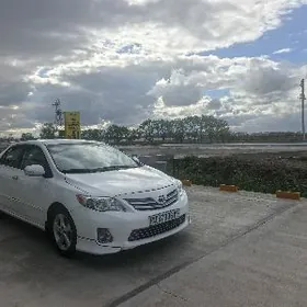 Toyota Corolla 2011