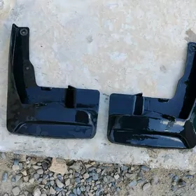 2011sienna brazgawik