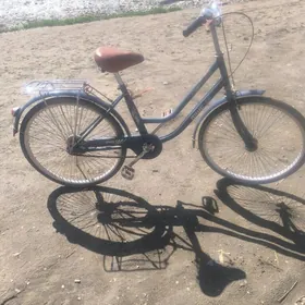 Welosepet Fashion bicycle