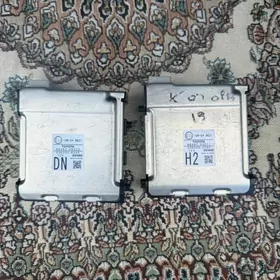 Palasa kamera leksus karolla