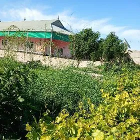 Gyssagly onsukly satlyk jay