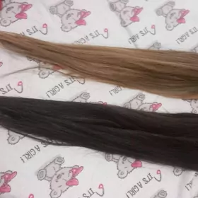 Naranshiwinni sach satlyk