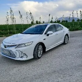 Toyota Camry 2019