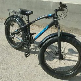 TIGIR 26LIK X4 LOKA TEKER