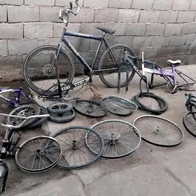 TIGIR ZAPJAS RAMKA TEKER