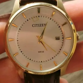 Sagat Часы Citizen.