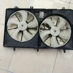 сиена вентилятор