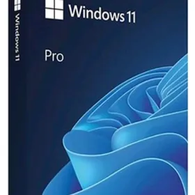 Windows 11 PRO 25H2