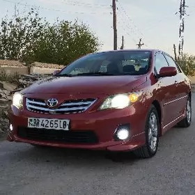 Toyota Corolla 2011