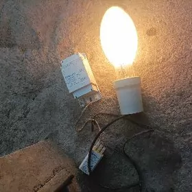 прожектор шайы