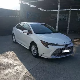 Toyota Corolla 2020