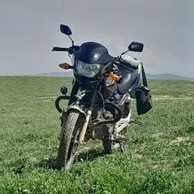 Fekon FK200-14G 2025