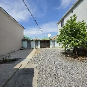 Satlyk Coganly PlanJay! 3sotyk