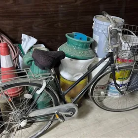 Tigir brishton ramenli