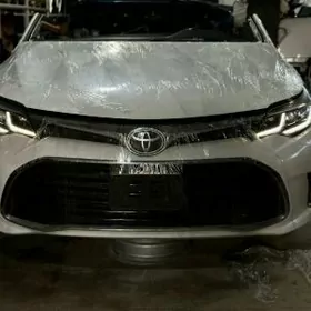 2017 avolon puržyn yzy