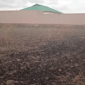 16sotuk satlykýeriñ özi