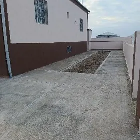 STALYK JAY 30 YYLLYK