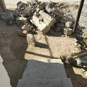 Отход зарик даши