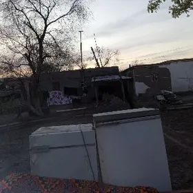 халаделник