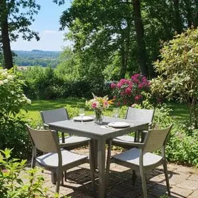 stol stul mebel dükany стулья