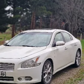 Nissan Maxima 2010