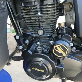 Fekon FK200-14G 2026