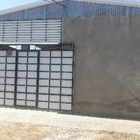 satlyk Jaysatlyk jay