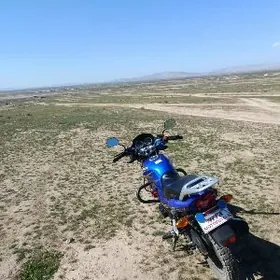 Fekon FK200-14G 2023