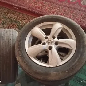 215.60.16 дика балон