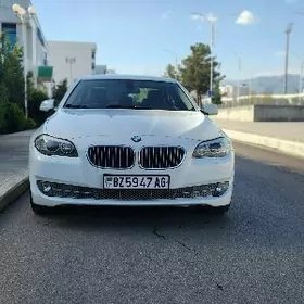 BMW 530 2010