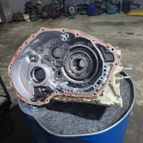 4lik prada onki kardan