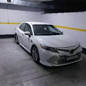 Toyota Camry 2020