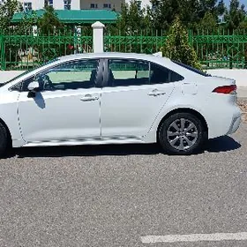 Toyota Corolla 2021
