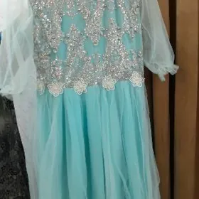 Вечерний койнек