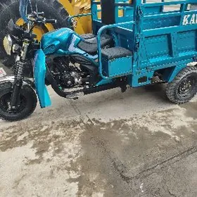 Fekon FK200-14G 2024