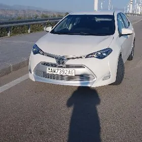 Toyota Corolla 2019