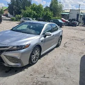 Toyota Camry 2021