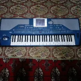korg pa 800