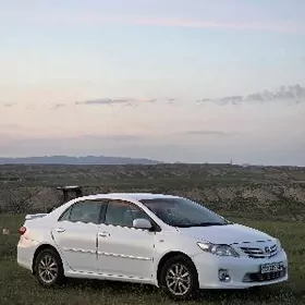 Toyota Corolla 2011