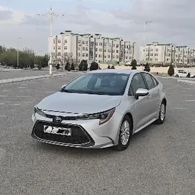 Toyota Corolla 2021