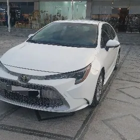 Toyota Corolla 2020